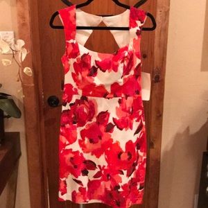 Red and white sundress